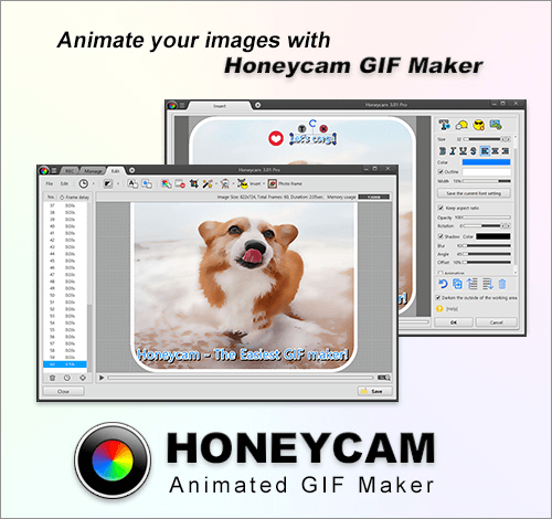 Honeycam GIF Maker